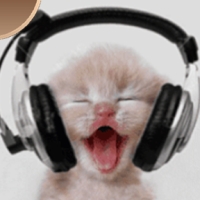 Pisici si...muzica