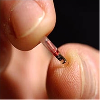 Implantul cu microcip