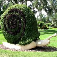 Florida - Cypress garden