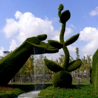 Chine sculpture de plantes