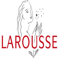 Noi definitii Larousse