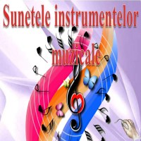 Sunetele instrumentelor muzicale -V1