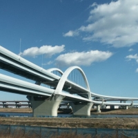 Poduri in Japonia
