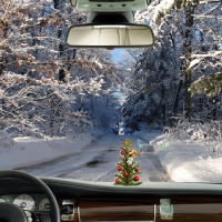 Driving for a Christmas Tree