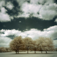 Incredible Examples of Infrared Photography