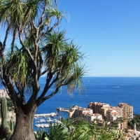 Monaco - Exotic Garden-Part 2