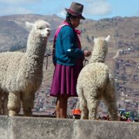 Le Pérou 2