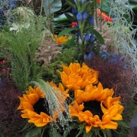 Netherlands - Flower show 2012...