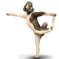 Yoga Canina. 02