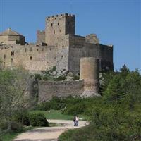 Castele Medievale