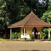 Sri Lanka, Peradenia5