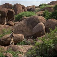 Somalian landscapes-1