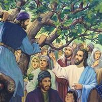 Capitolul 19 Partea I din Luca – Biblie Noul Testament