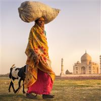 Agra-Taj Mahal-Amazing images