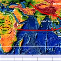 Calatoria lui Homo sapiens