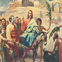 Capitolul 2 din  Epistola către Coloseni a Sfântului Apostol Pavel – Biblie Noul Testament