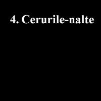 4. Cerurilr-nalte