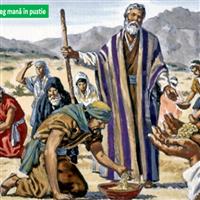 REMIX - Biblia Vechiul Testament Deuternomul Cap.11