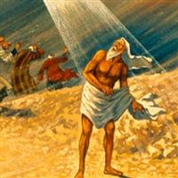 REMIX - Biblia Vechiul Testament Cartea lui Iov Cap. 38