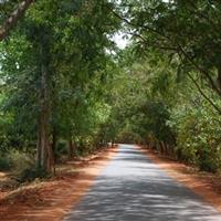 Auroville,oras nou,international