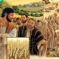 REMIX - Biblia Noul Testament Luca  Capitolul 8  Partea V-a  