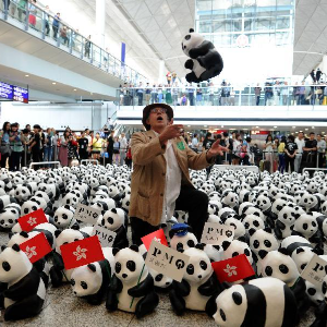 1600 Pandas World Tour