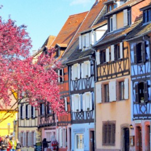 Magnifique Alsace par monts et par vaux