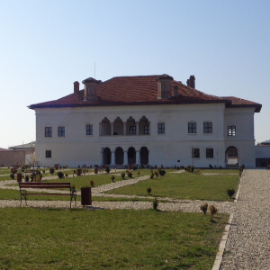 Palatul Brâncovenesc și Muzeul Golești