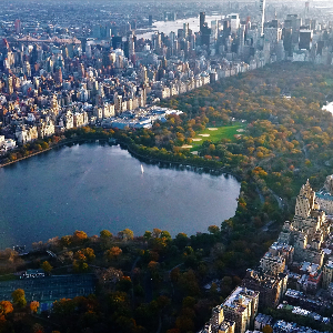 Central  Park