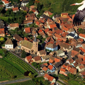 L'Alsace à vue de coucou