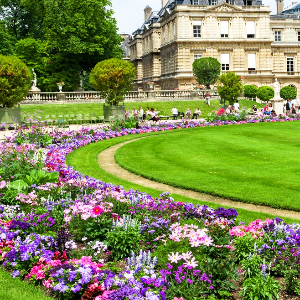 Le jardin du Luxembourg
