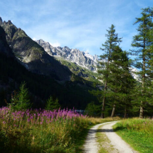 Le valli alpine italiane