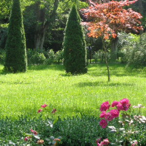 Culorile verii în Parcul Casa Albă, Băneasa ( I )