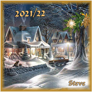 Crăciun 2021 - Steve
