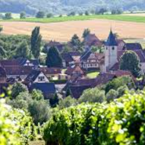 Cleebourg village viticole extrême nord Alsace
