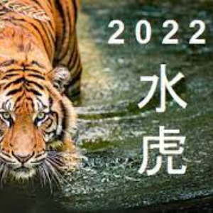 Chinese New Year 2022 Year of the Water Tiger