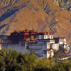 China (Tibet - Lhasa) - Steve