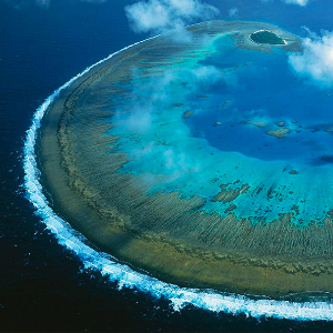 The most beautiful coral reefs - Tony, Steve
