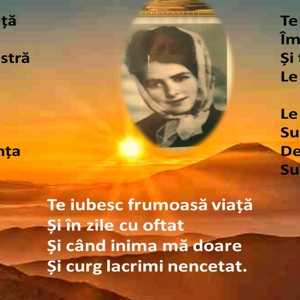 Poezii Lucica Neacșu
