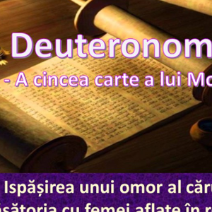 Biblie Vechiul Testament -Deuteronomul  Capitolul 21
