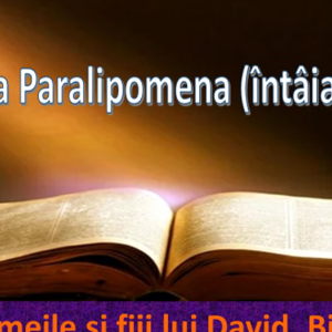 Biblie Vechiul Testament - Cartea întâia Paralipomena (întâia a Cronicilor) Capitolul 14