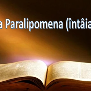 Biblie Vechiul Testament - Cartea întâia Paralipomena (întâia a Cronicilor) Capitolul 19