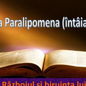 Biblie Vechiul Testament - Cartea întâia Paralipomena (întâia a Cronicilor) Capitolul 20