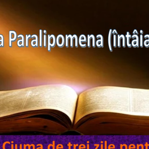 Biblie Vechiul Testament - Cartea întâia Paralipomena (întâia a Cronicilor) Capitolul 21