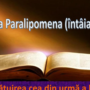 Biblie Vechiul Testament - Cartea întâia Paralipomena (întâia a Cronicilor) Capitolul 28