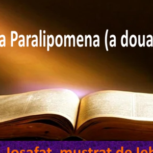 Biblie Vechiul Testament - Cartea a doua Paralipomena (a doua a Cronicilor) Capitolul 19
