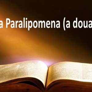 Biblie Vechiul Testament - Cartea a doua Paralipomena (a doua a Cronicilor) Capitolul 29